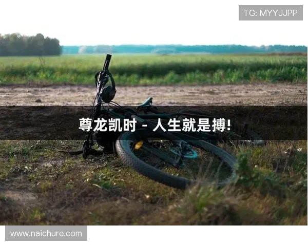 尊龙凯时平台简介：探索平台的游戏种类、运营策略及客户支持体系，满足多样化玩家需求