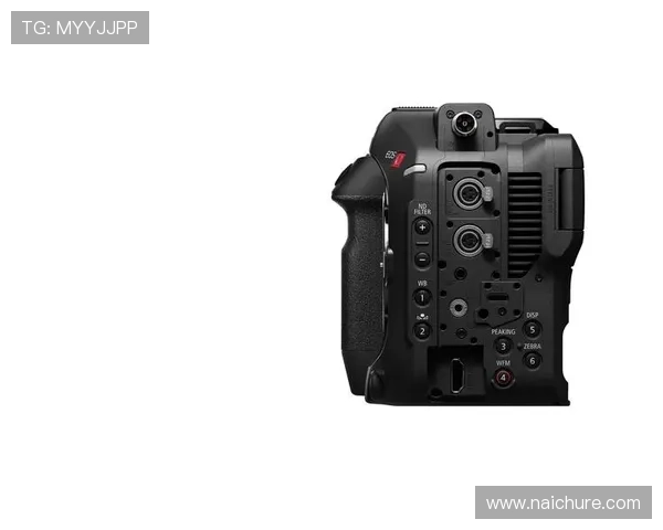 Z6尊龙安卓版玩家评价与反馈，了解真实游戏体验与优化建议